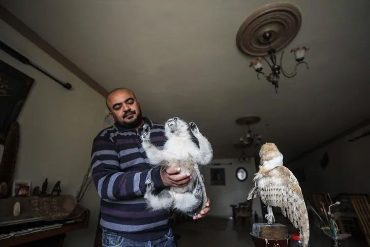 Ev değil hayvanat bahçesi! Her türden canlı var 1