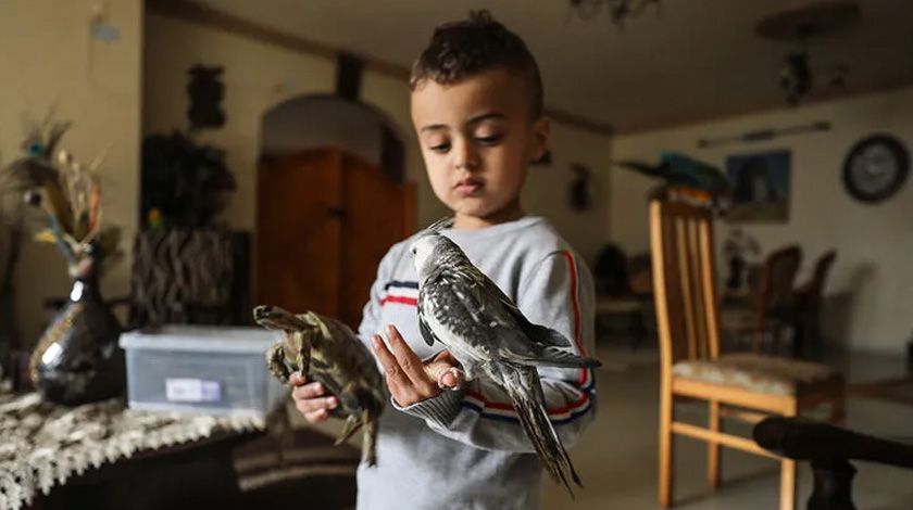 Ev değil hayvanat bahçesi! Her türden canlı var 10