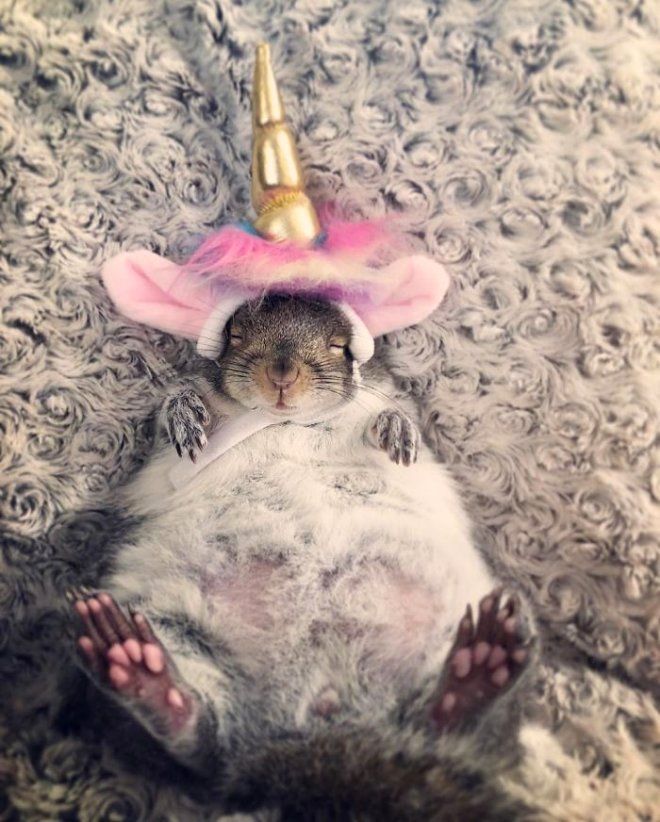 Yatağının üzerinde buldu, neye uğradığını şaşırdı! 9