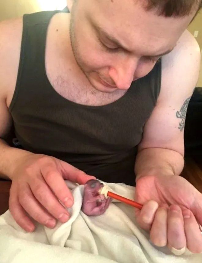 Yatağının üzerinde buldu, neye uğradığını şaşırdı! 11