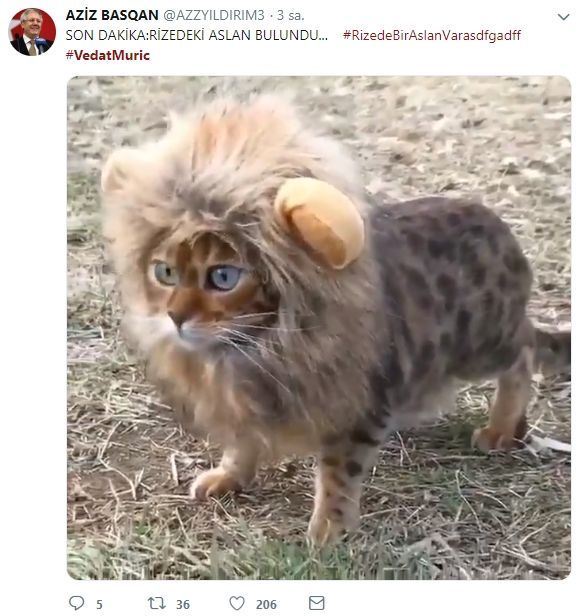 Vedat Muriç açıklandı, sosyal medya yıkıldı! 2