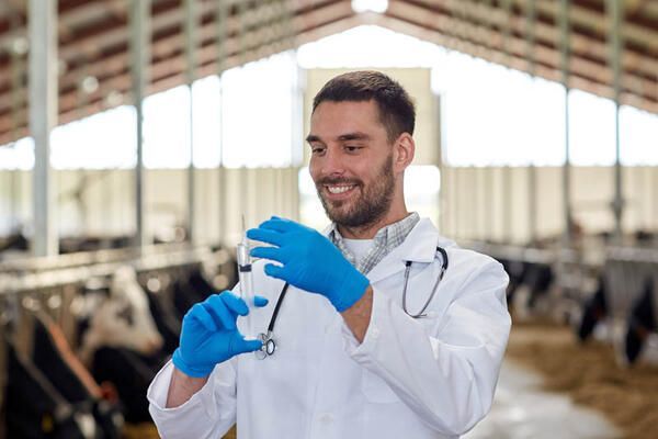 Üniversite tercihi yapmadan önce dikkat!  İşte en iyi meslekler 1