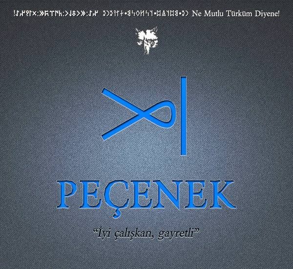 Türklerin soy ağacının il il listesi! Hangi Türk boyundansınız? 18