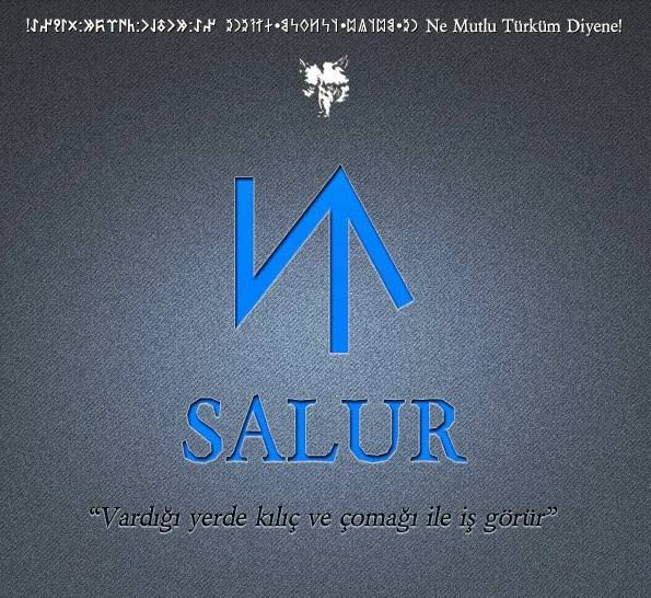 Türklerin soy ağacının il il listesi! Hangi Türk boyundansınız? 21