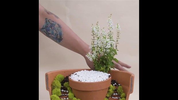 Paslı çiviyi suya attı! Peki amacı neydi? 21