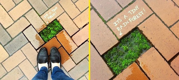 Şehirleri güzelleştiriyorlar! İşte birbirinden renkli sokak sanatları 13