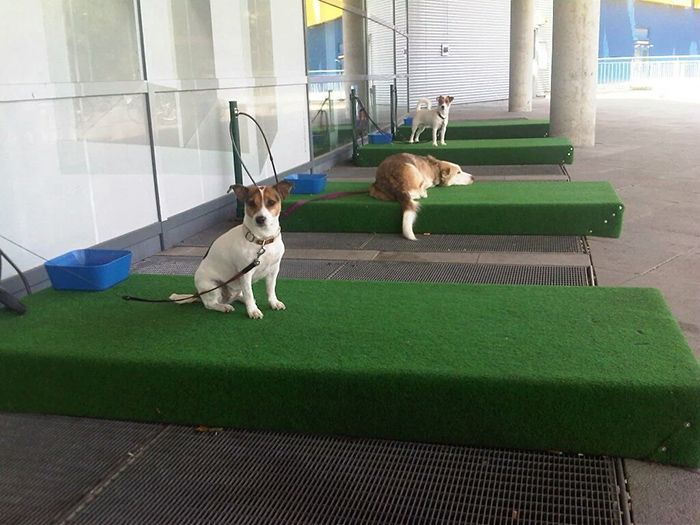 Hayatı kolaylaştırıyorlar! Farklı bakış açısıyla tasarlanan ürünler 17