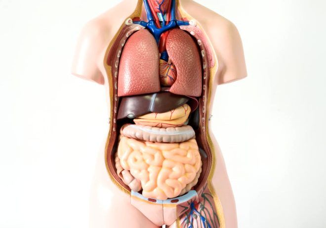 Göz bebeklerimiz bakın neden kırmızı çıkıyor 10