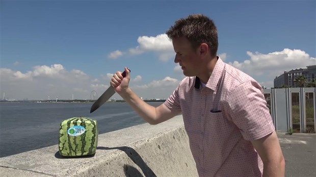 Kare karpuzun içinden bakın ne çıktı 2