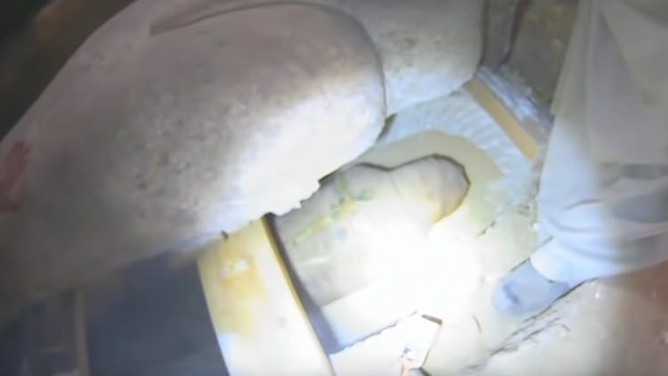 Tam 2500 yıllık! Büyük İskender'e... 38