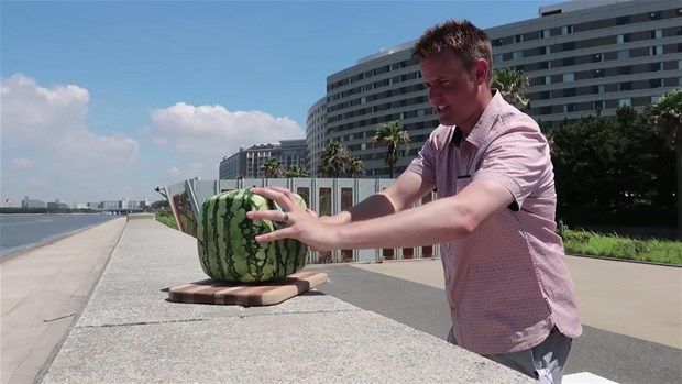 Kare karpuzun içinden bakın ne çıktı 4