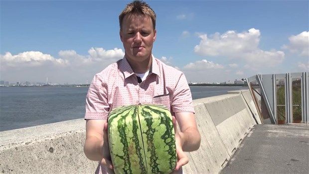 Kare karpuzun içinden bakın ne çıktı 5