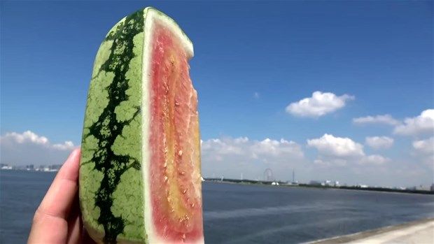 Kare karpuzun içinden bakın ne çıktı 9