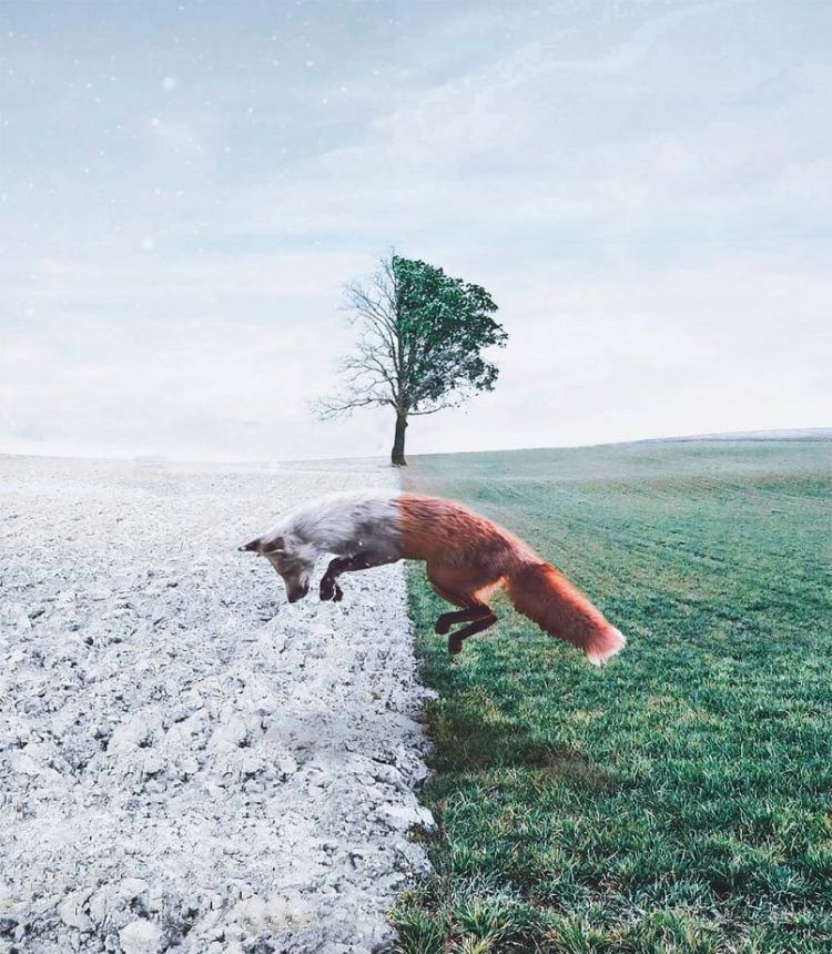 Hayal gücünün sınırlarını zorladı! İşte ortaya çıkan ilginç görüntüler 11