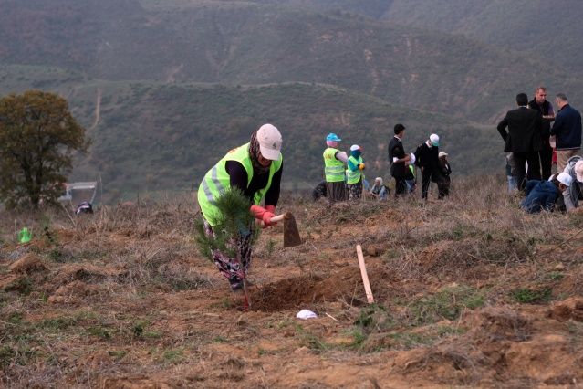 Tüm Türkiye'de 11 milyon fidan dikiliyor! İşte 81 ilden görüntüler 11