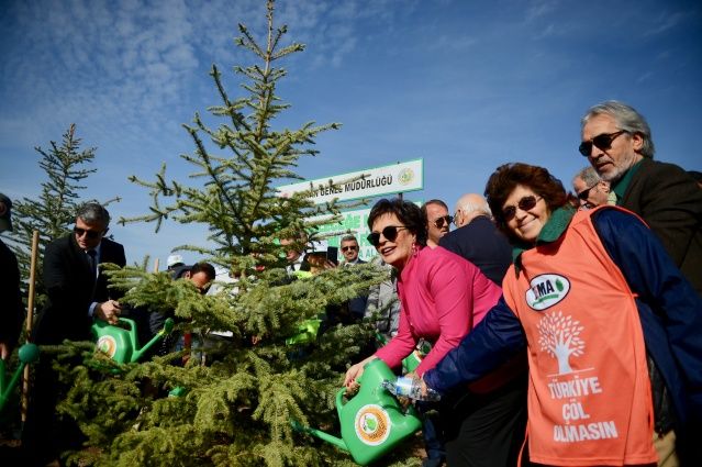Tüm Türkiye'de 11 milyon fidan dikiliyor! İşte 81 ilden görüntüler 14