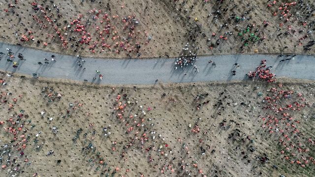 Tüm Türkiye'de 11 milyon fidan dikiliyor! İşte 81 ilden görüntüler 2