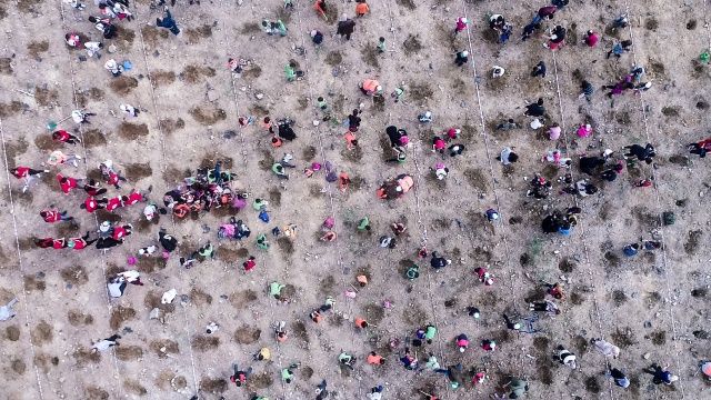 Tüm Türkiye'de 11 milyon fidan dikiliyor! İşte 81 ilden görüntüler 3