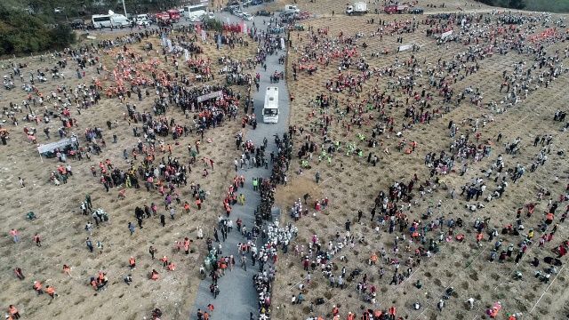 Tüm Türkiye'de 11 milyon fidan dikiliyor! İşte 81 ilden görüntüler 4