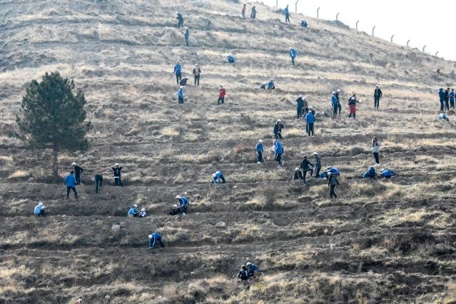 Tüm Türkiye'de 11 milyon fidan dikiliyor! İşte 81 ilden görüntüler 5
