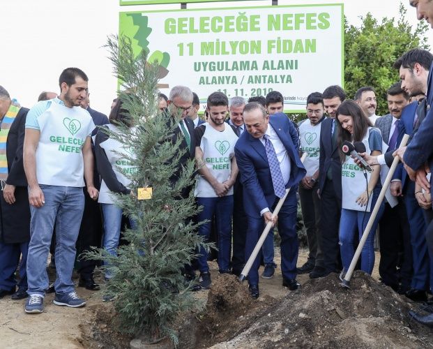 Tüm Türkiye'de 11 milyon fidan dikiliyor! İşte 81 ilden görüntüler 6