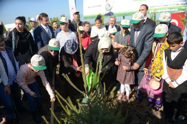 Tüm Türkiye'de 11 milyon fidan dikiliyor! İşte 81 ilden görüntüler 7