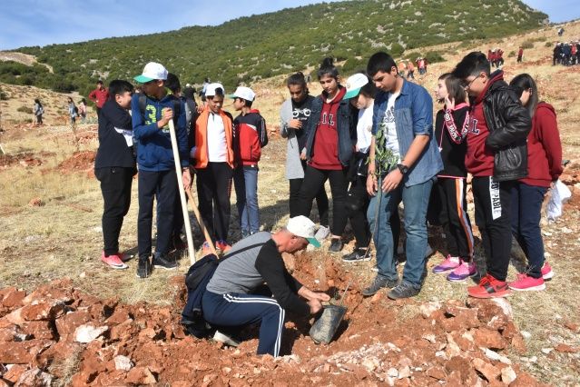 Tüm Türkiye'de 11 milyon fidan dikiliyor! İşte 81 ilden görüntüler 9