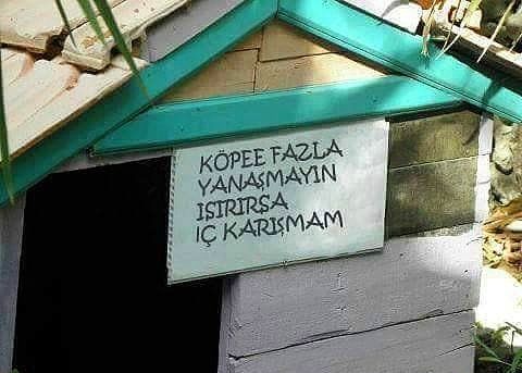 Dipnot olarak yazdığı şaşırttı 'Bu yıl da sevgilisizim' 27