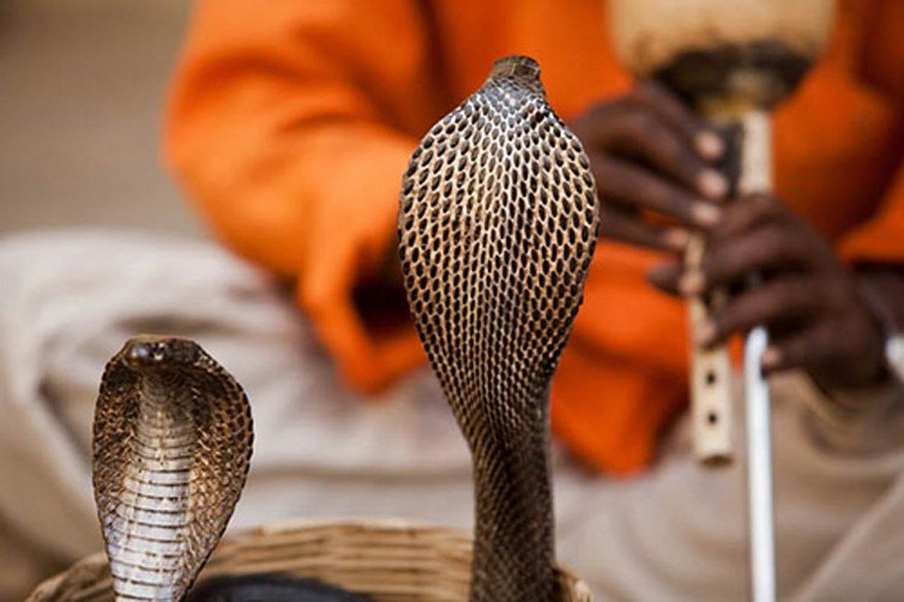 İlk otomobili kim icat etti? İşte pek azımızın bildiği ilginç bilgiler 94