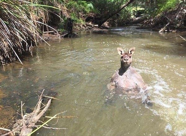 Ne olduğunu öğrenince şaşıracaksınız! 32