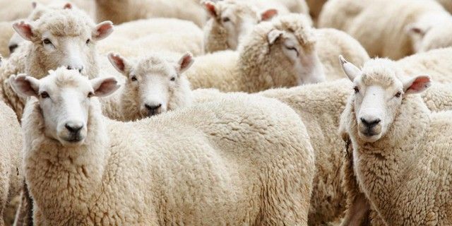 2020'de kaç gün resmi tatil var ? İşte detaylar 13