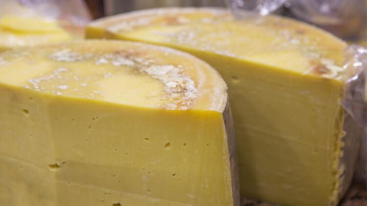 Süte çamaşır suyu katıyorlar! Bakın sebebi ne çıktı 5