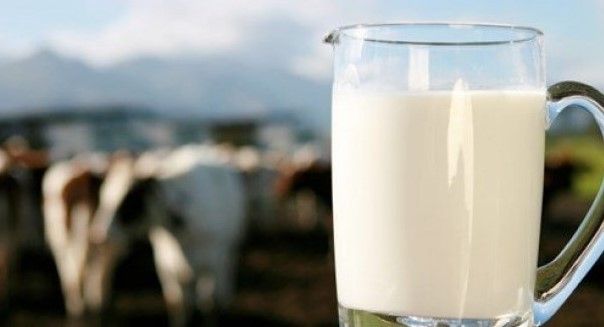 Süte çamaşır suyu katıyorlar! Bakın sebebi ne çıktı 13