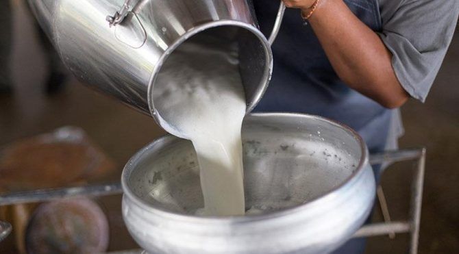 Süte çamaşır suyu katıyorlar! Bakın sebebi ne çıktı 12