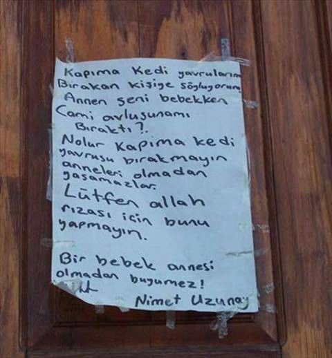 Yurdum insanı yine iş başında! Yazdığı şey... 51