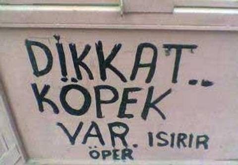 Yurdum insanı yine iş başında! Yazdığı şey... 53