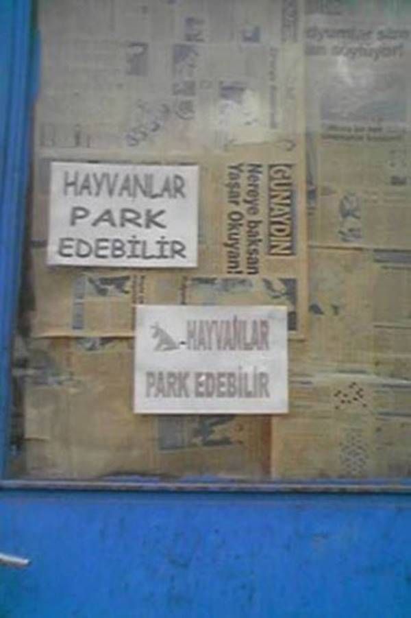 Yurdum insanı yine iş başında! Yazdığı şey... 97