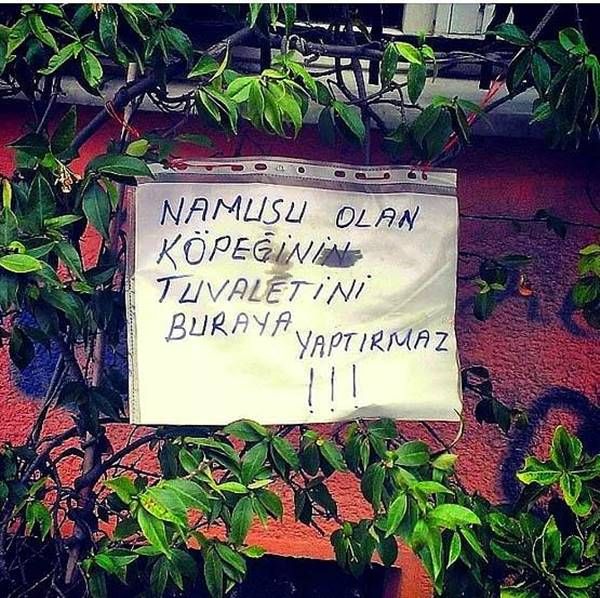 Yurdum insanı yine iş başında! Yazdığı şey... 100