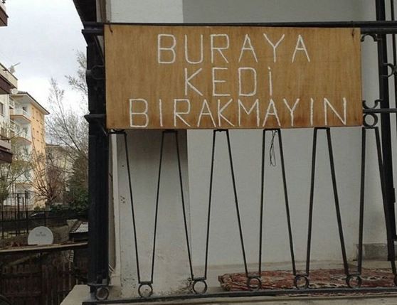 Yurdum insanı yine iş başında! Yazdığı şey... 153