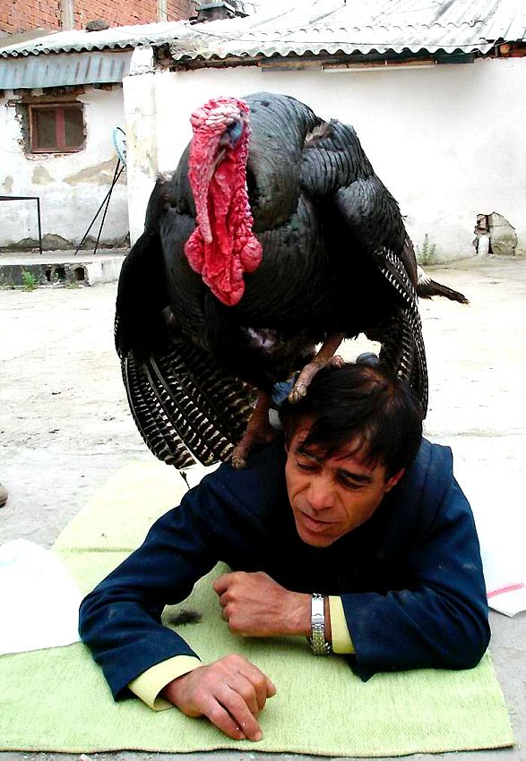 Yurdum insanı yine iş başında! Yazdığı şey... 8