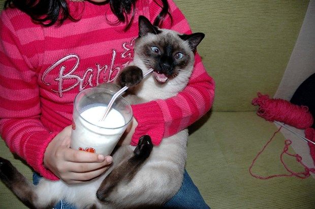 Yurdum insanı yine iş başında! Yazdığı şey... 19