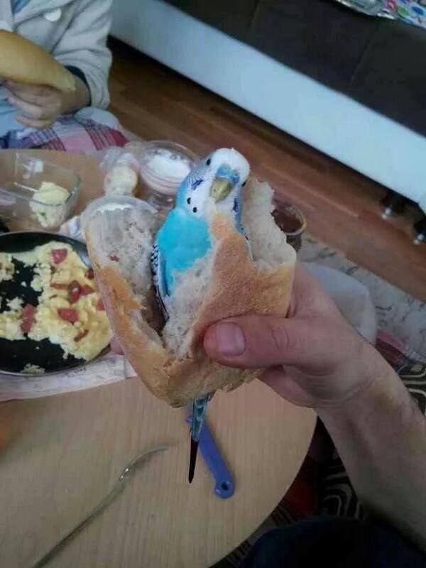 Yurdum insanı yine iş başında! Yazdığı şey... 166