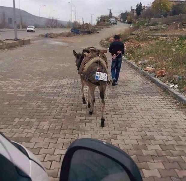 Yurdum insanı yine iş başında! Yazdığı şey... 168