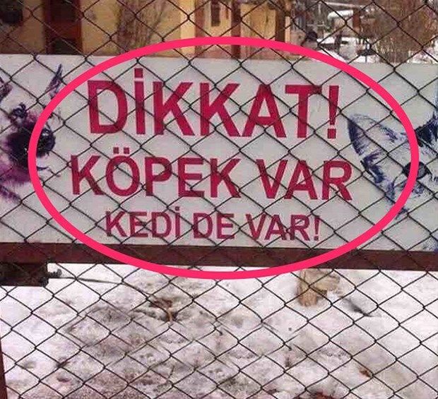 Yurdum insanı yine iş başında! Yazdığı şey... 208