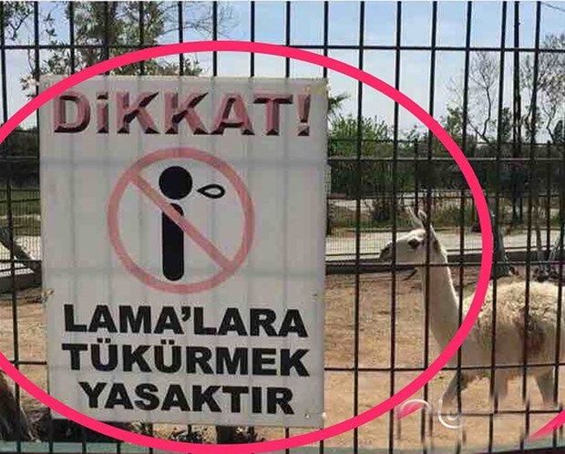 Yurdum insanı yine iş başında! Yazdığı şey... 207