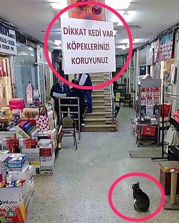 Yurdum insanı yine iş başında! Yazdığı şey... 215
