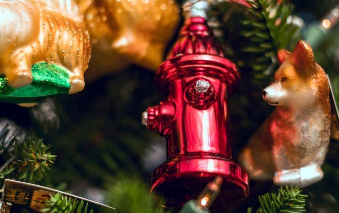 2020'ye hangi ülke ne zaman girecek? 13