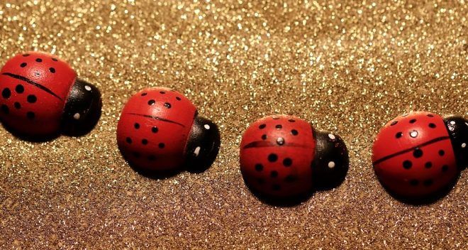 2020'ye hangi ülke ne zaman girecek? 7