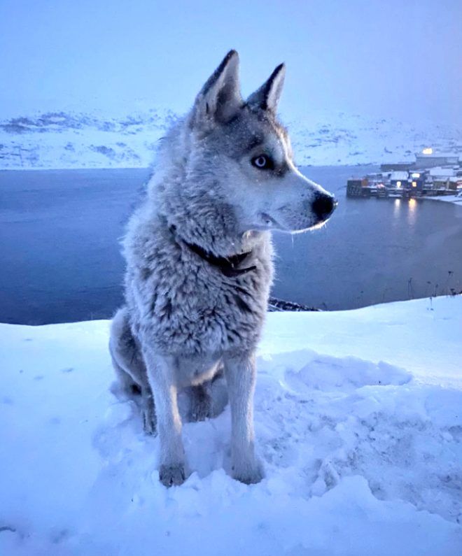 Bu şehre 40 gün boyunca güneş hiç doğmuyor 8