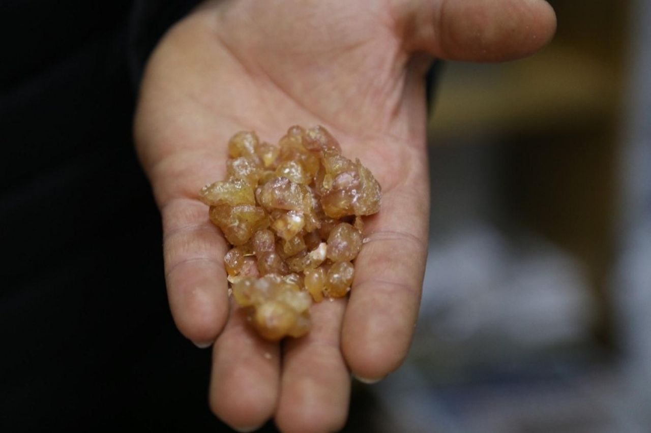 Kilosu altınla yarışıyor: Tam bir şifa deposu 3